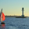 IMG_7833